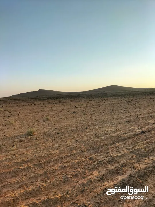 ارض للبيع بسعر ممتاز