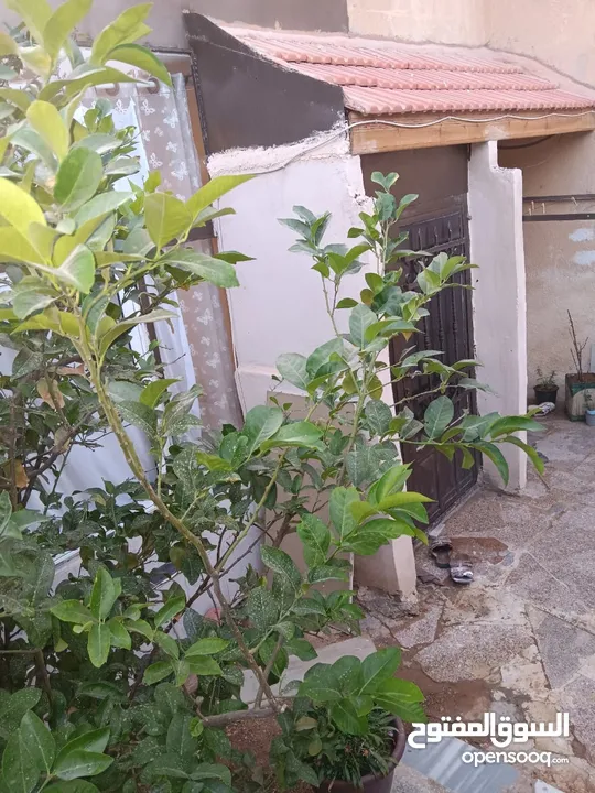 شقة بجبل طارق قرب دوار البقيع بسعر مغري