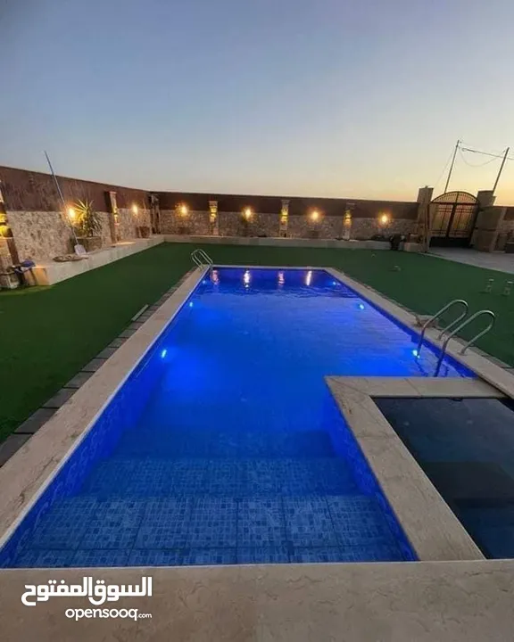 عشب ونجيل صناعي  باقل الاسعار واعلى المواصفات  بلجيكي  فيتنامي  صيني  اردني  اماراتي  خامات والوان