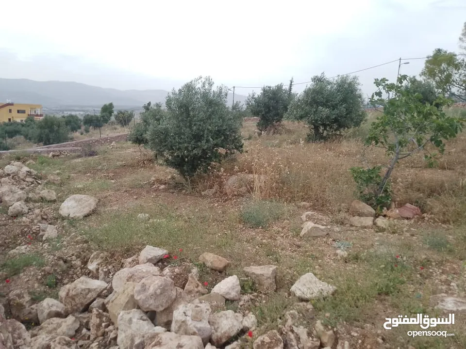 أرض ذات إطلالة خلابة في أجمل مناطق جرش
