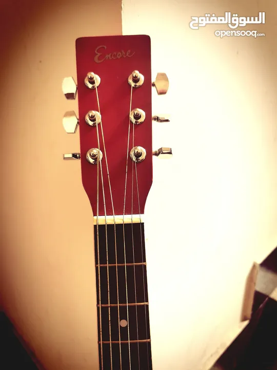 Guitar For Music lover