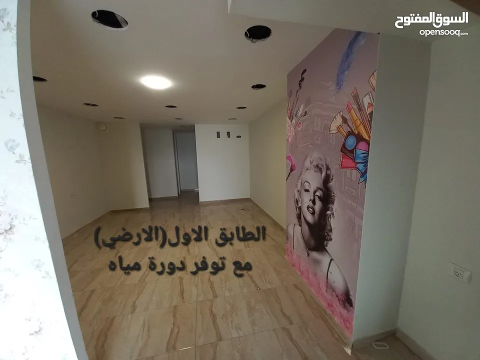 محمد ابو عبية