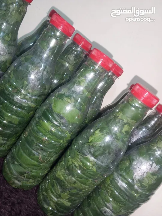 طعام جاهز  بيتي