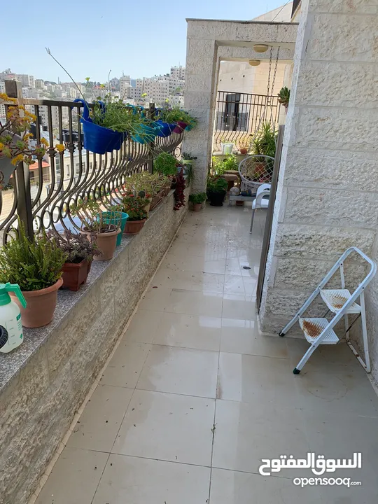 عصام عصفور