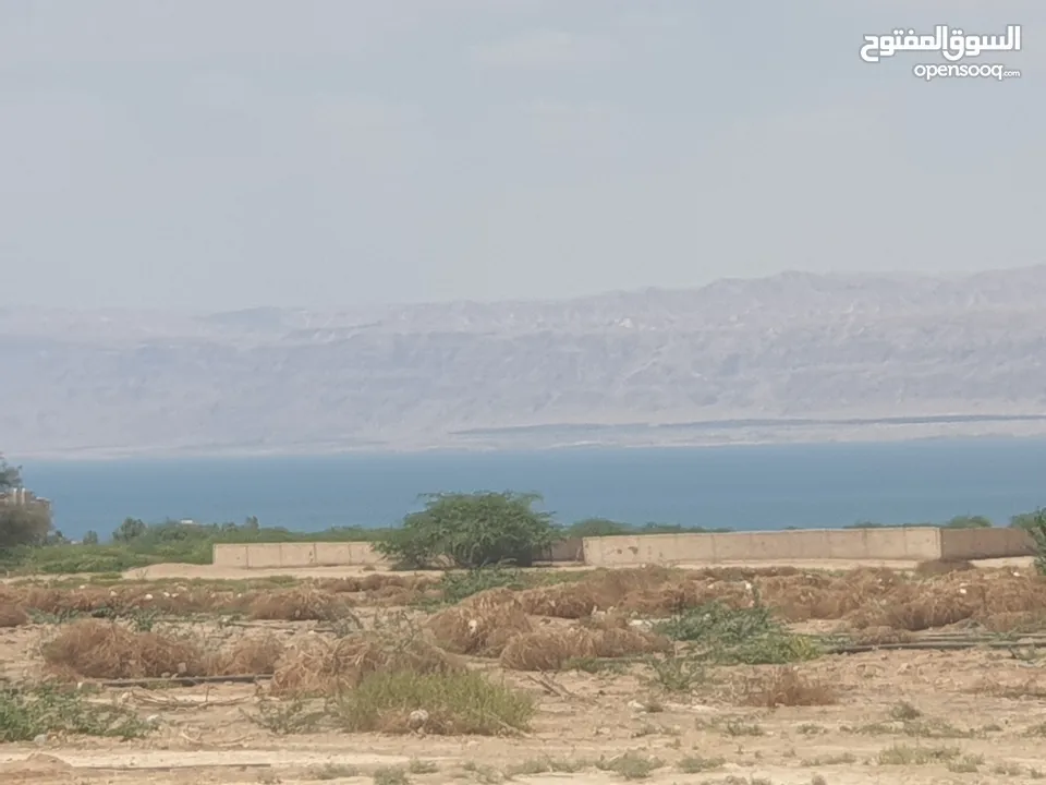 أرض 10 دونم ب أجمل مناطق البحر الميت على الشط السياحي