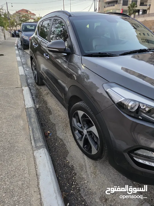 2017 Tucson in Ramallah and Al Bireh