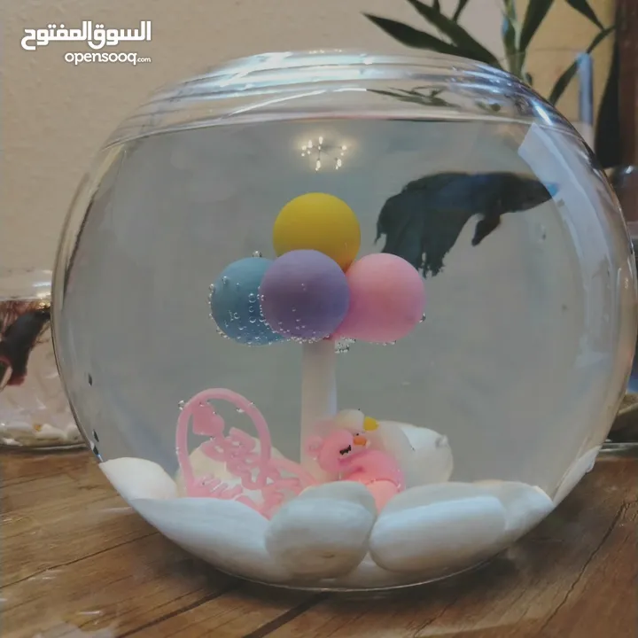 "جديد روح تنسيق أنيق لحوض الفايتر مع ناعورة وأحجار زينة طبيعية"