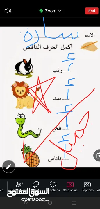 تدريس مادة اللغة العربية ( ابتدائي) خبره خمس سنوات في مجال التأسيس والصفوف الأولية
