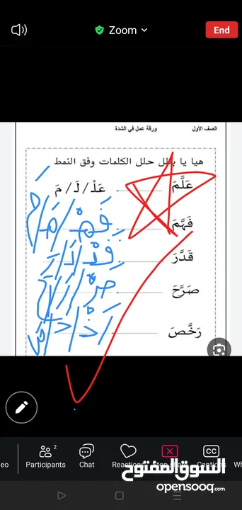 تدريس مادة اللغة العربية ( ابتدائي) خبره خمس سنوات في مجال التأسيس والصفوف الأولية