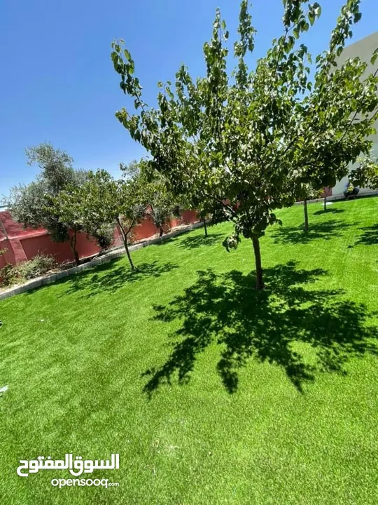 عشب ملاعب / عشب حدائق / عشب مدارس / عشب مزارع / عشب صناعي/ نجيل / تارتان Playground grass