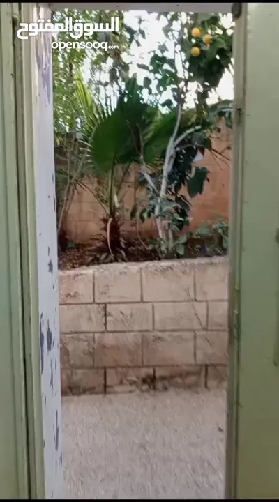 شقة شبه استديو