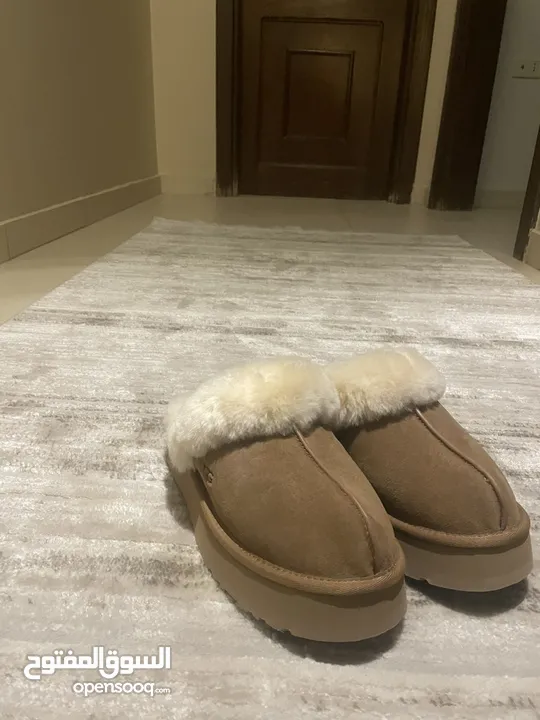 UGG disquette slippers (39, 9)