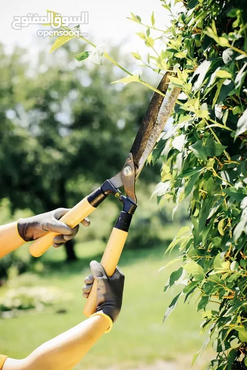 Garden Maintenance