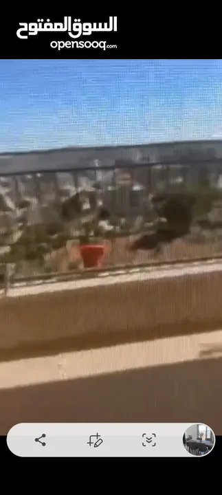 شقه في بيرزيت مساحه 17o متر