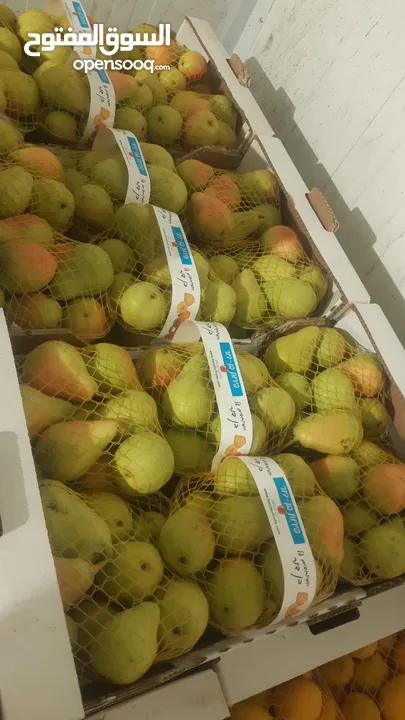 مشروع تجاري مربح بحاجة لتمويل