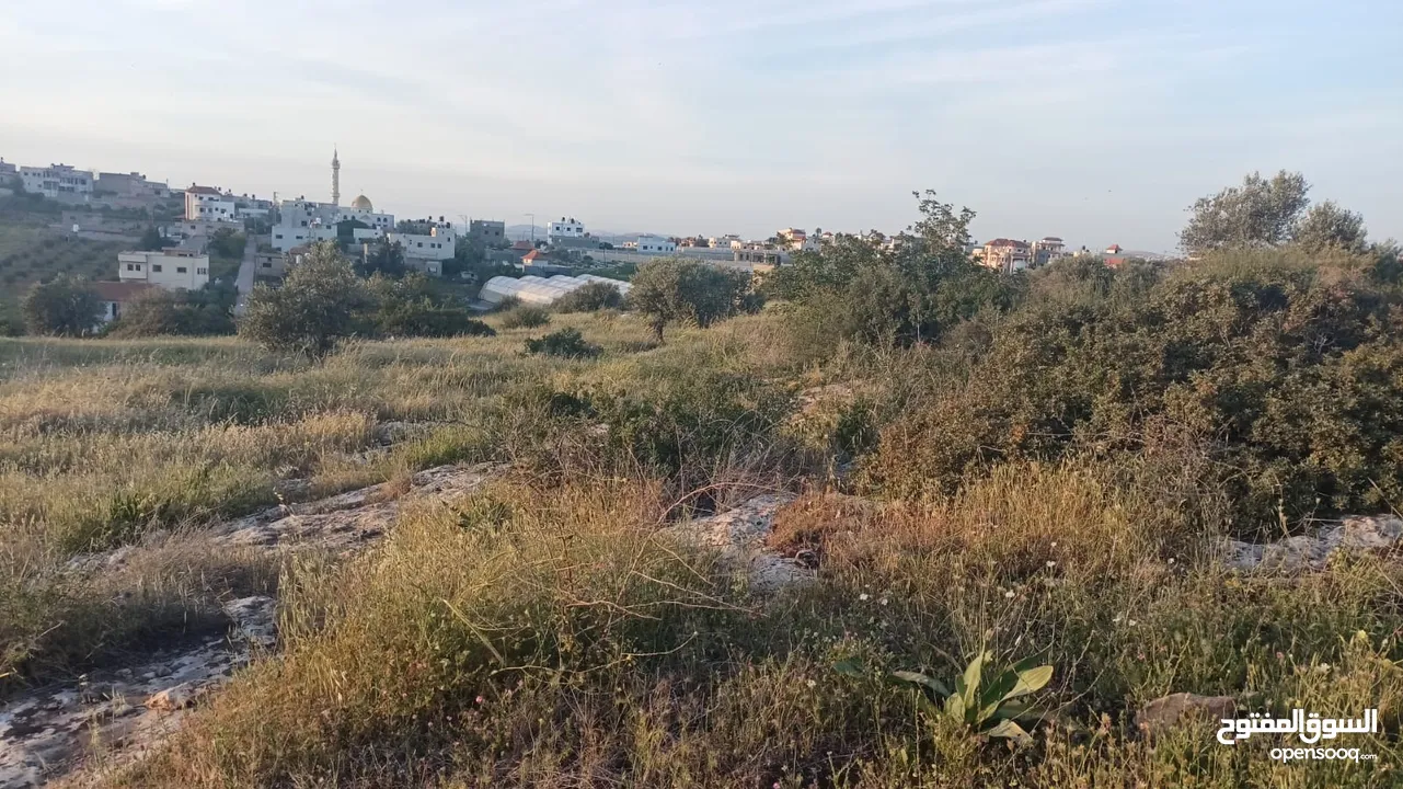 عقار للبيع