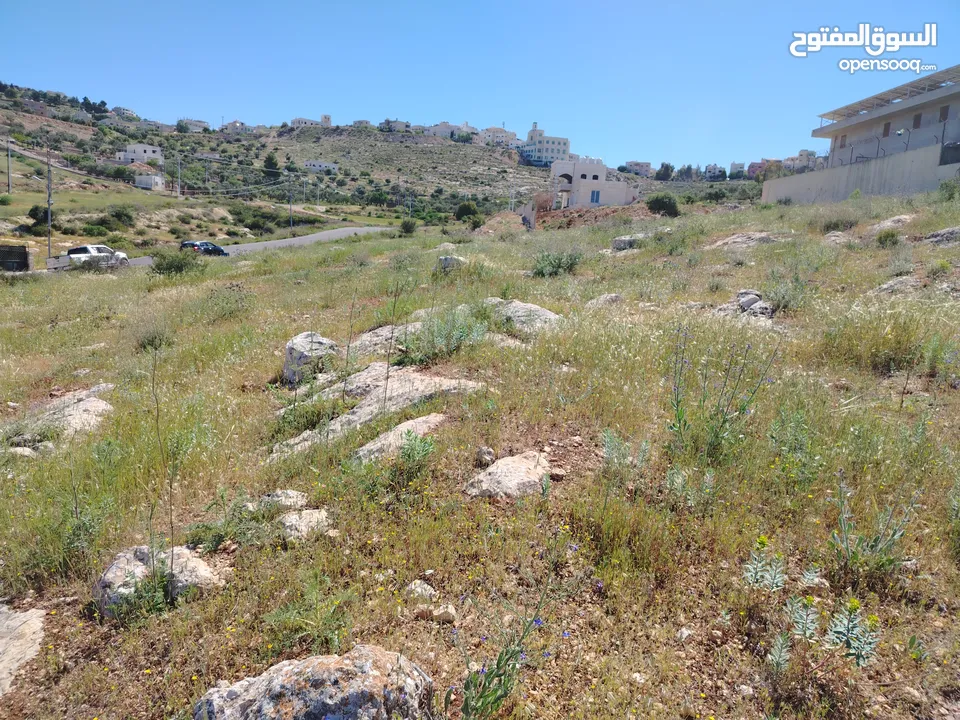 2300 م السلط المغاريب قطعة ملوكية تصلح ل فيلا او مزرعة اطلالة ع الغرب و جبال فلسطين