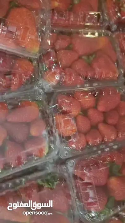 فراولة مجمدة بلدية من مزارعنا