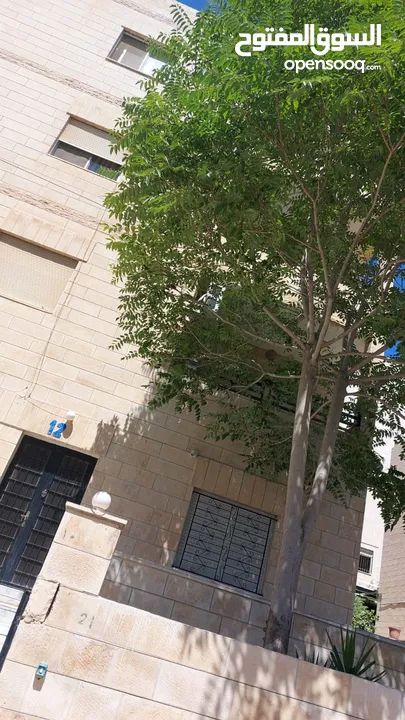 شقه للبيع طابق ارضي بضاحية الرشيد