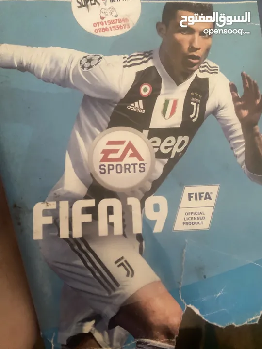 سيدي فيفا 2019