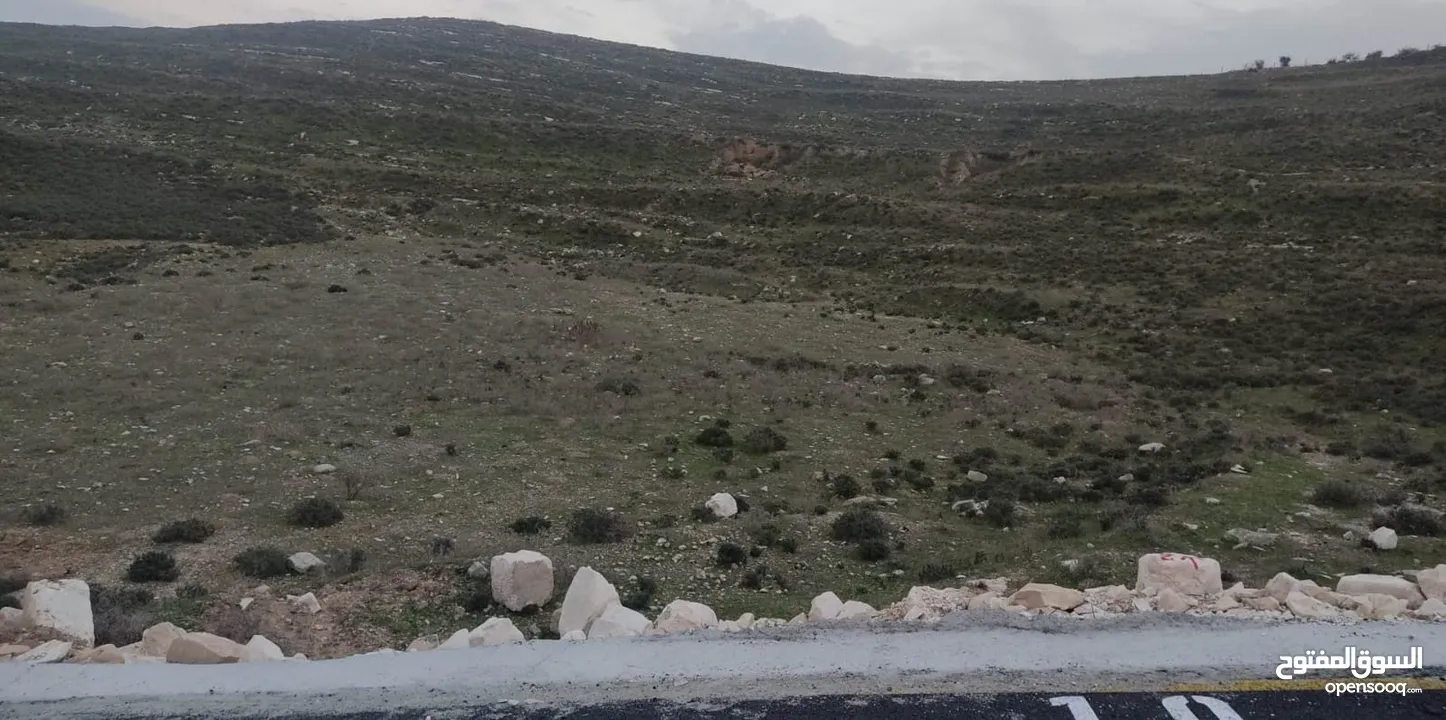 نمرة ارض في بيت امرين