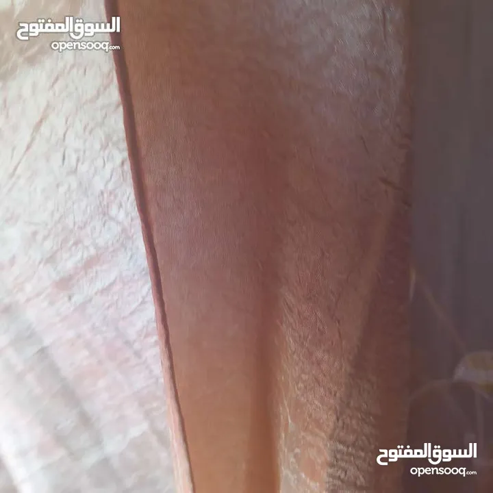 برادي تفصيل للبيع استعمال قليل للبرداي