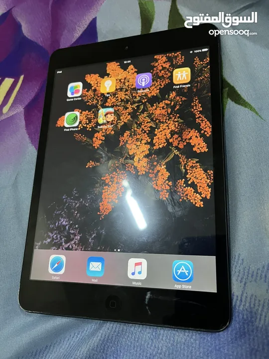 Ipad mini 1