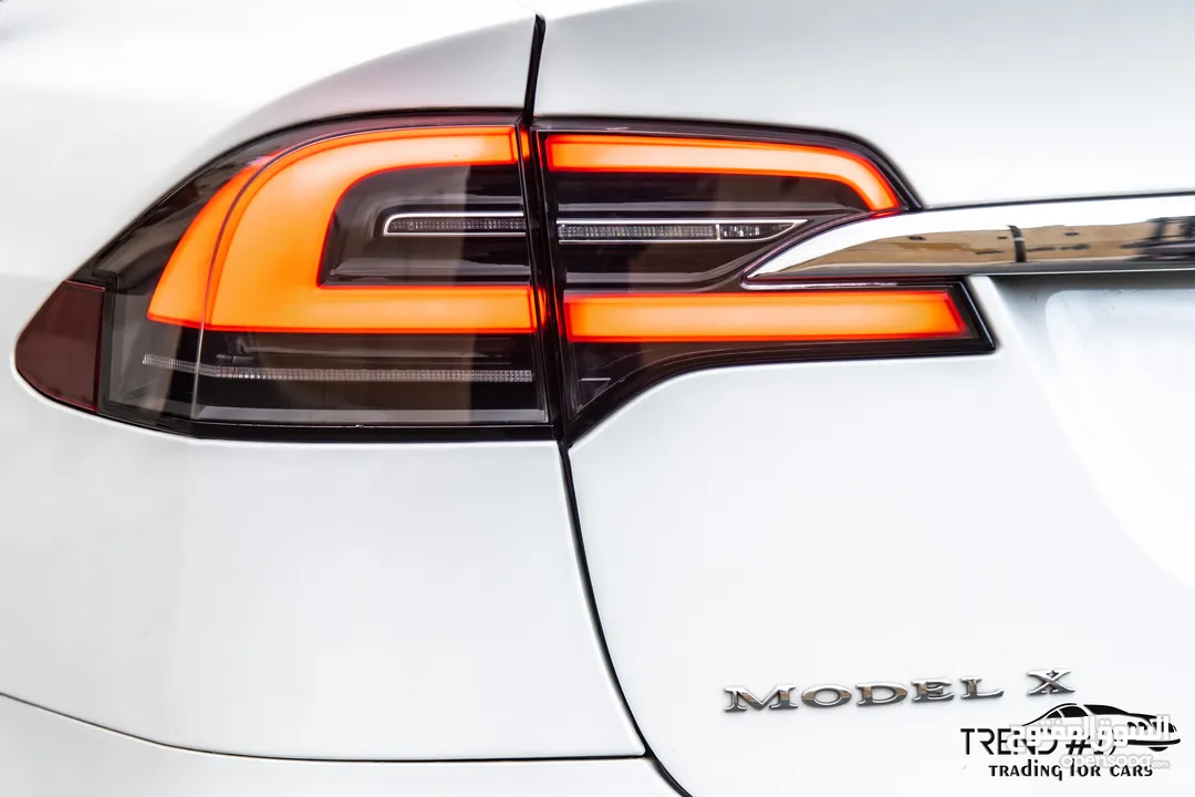 Tesla Model X 100D  2018