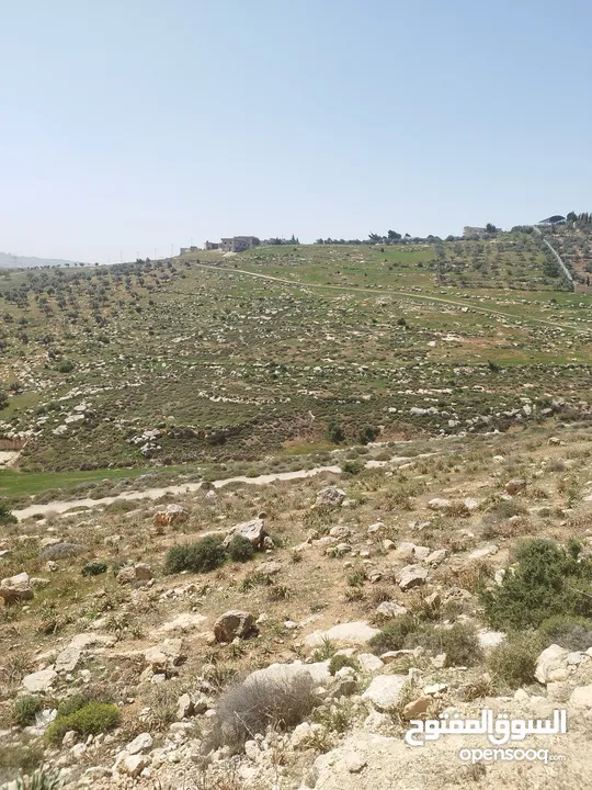 قطعة ارض للبيع بسعر مغري جدا