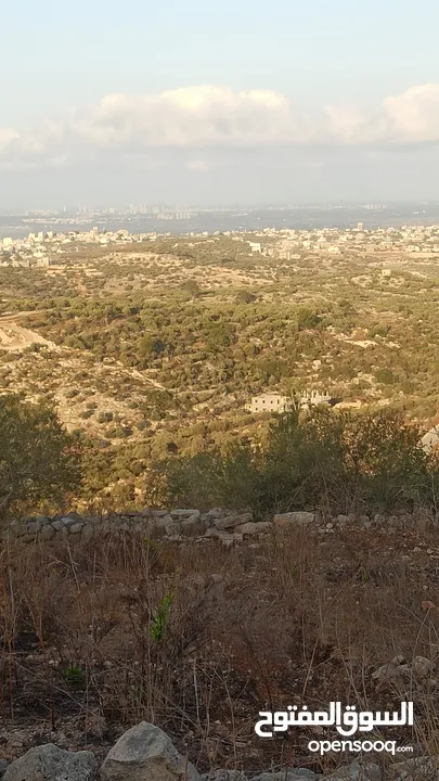 القبة الذهبية  شارع بلعا-دير الغصون