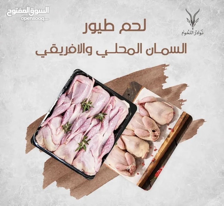 لحوم طازجه غزال وعل سمان طيور