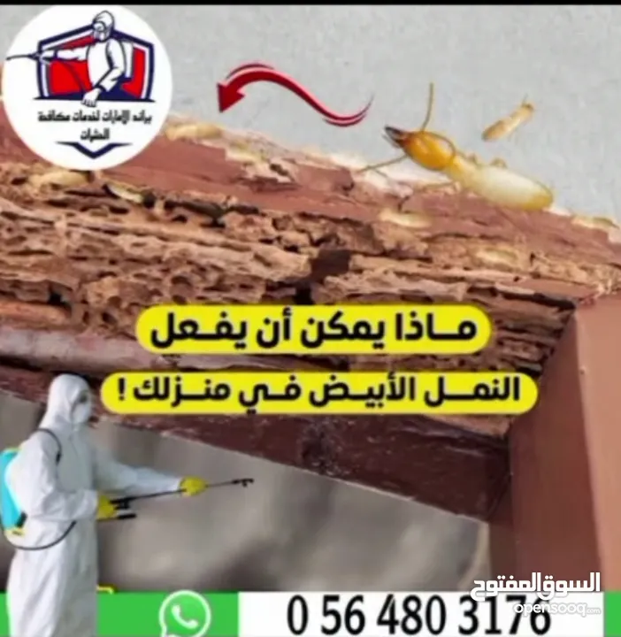 شركة مكافحة حشرات وأعمال الرمه وتركيب طارد الحمام