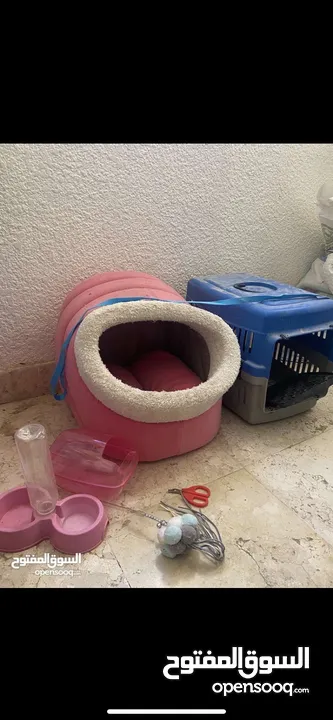 اغراض قطط نضاف وشبه جديد