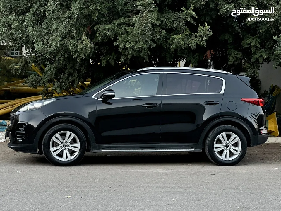 احمد سامي ابو غنيم