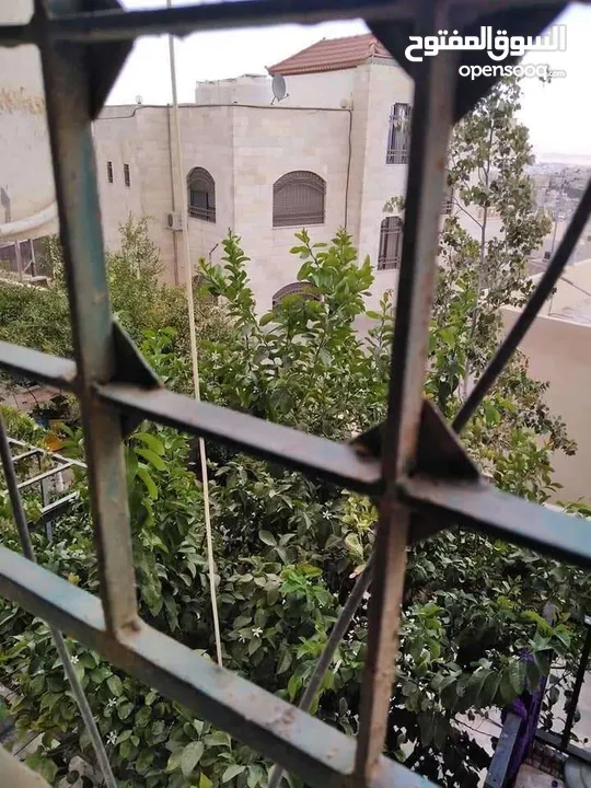 عمارة للبيع بسعر مغري جداً