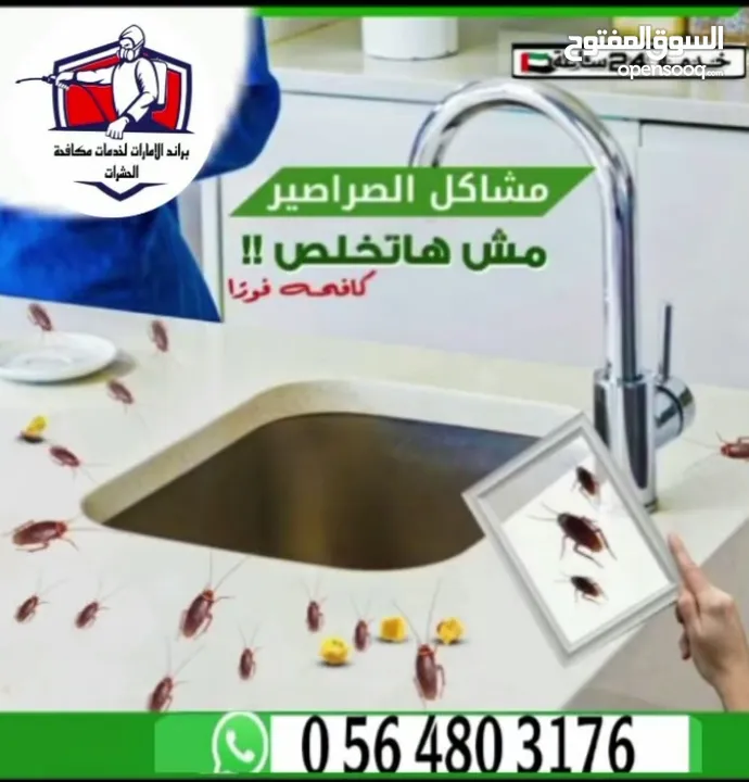 شركة مكافحة حشرات وأعمال الرمه وتركيب طارد الحمام