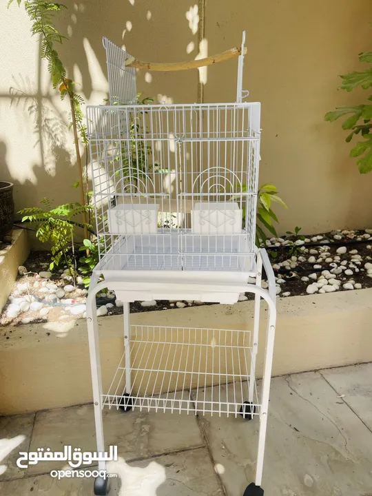 Heavy Duty Parrot cages 3 nos for 250/- Dhs @Khalifa City, Abu Dhabi