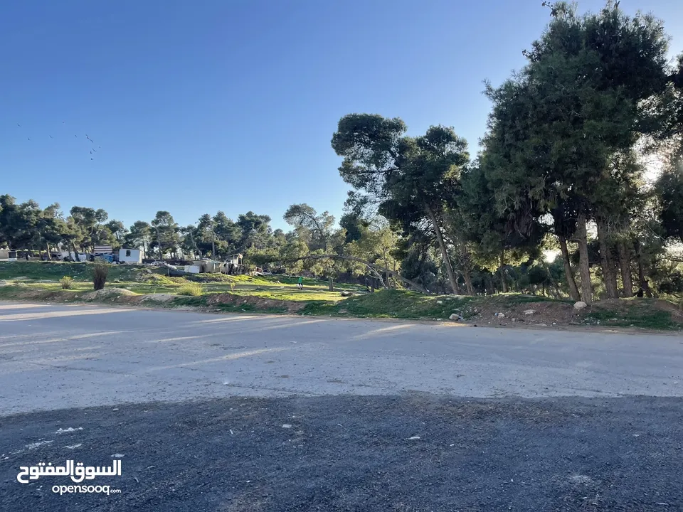 ارض للبيع من المالك مباشرة بموقع متميز في منطقة الجويدة