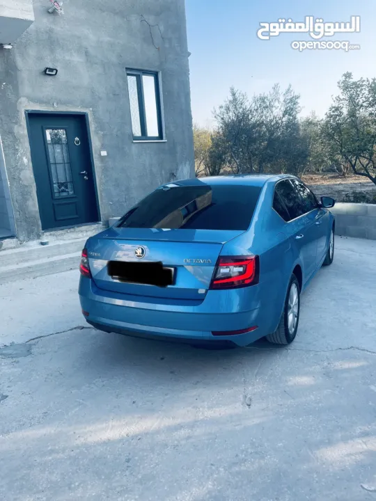 اكتافيا 2019/18