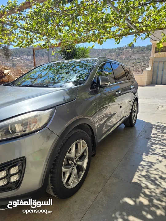 KIA سورينتو بصلاة عنبي