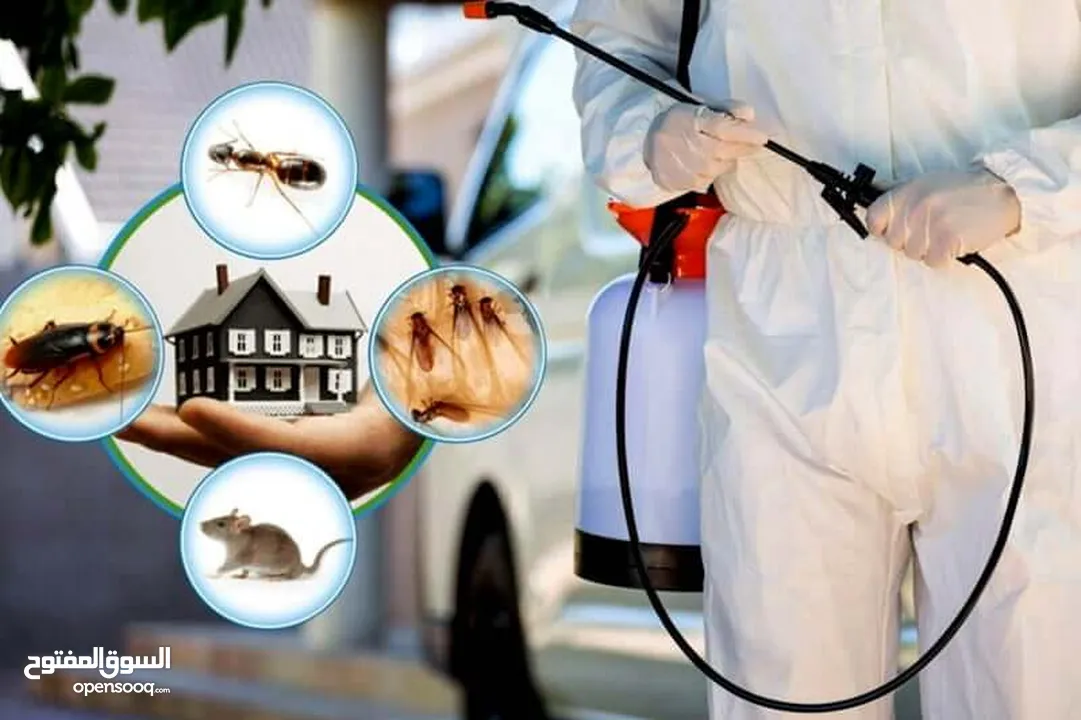 Pest Control care cleaning company price Star from 99AED discount 25% on going