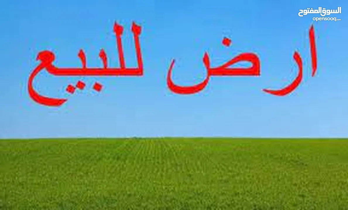 بالاشرفيه-محافظه المفرق-10دونم زراعي مفروزة مميزة من مالكها للبيع