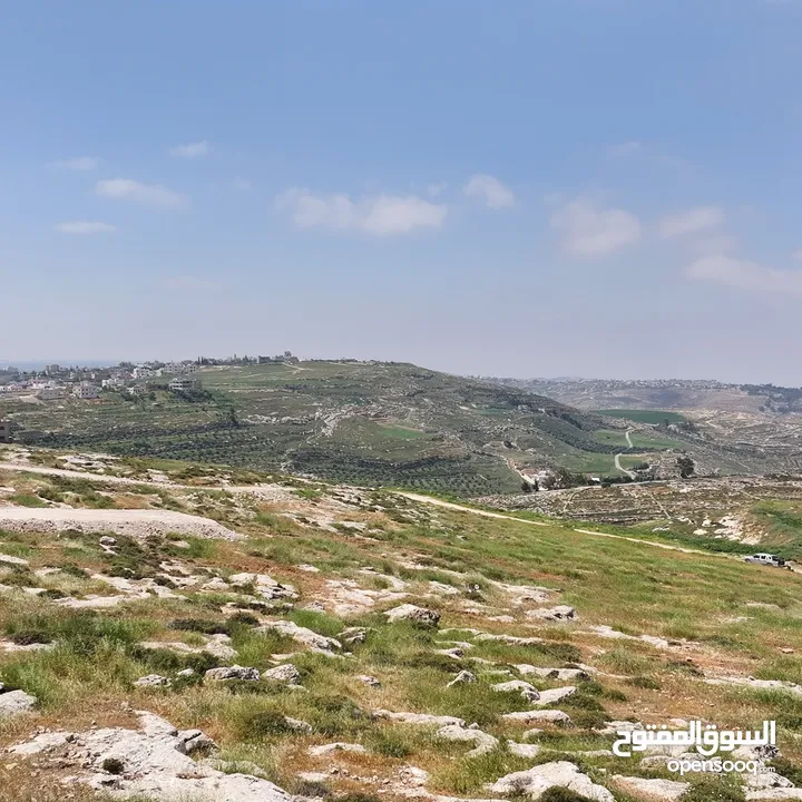 ارض مميزه للبيع بمساحه 950م و بسعر تنافسي من المالك _ شارع مادبا الغربي _طريق الجامعة الالمانية