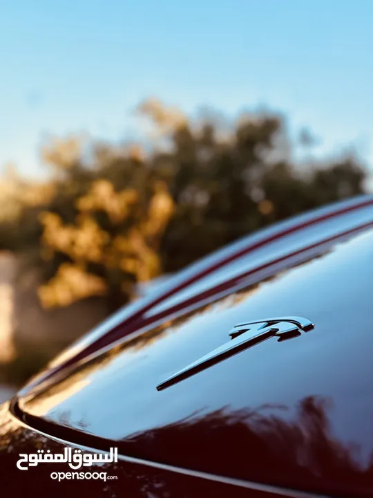 model Y 2023 dual motor long range