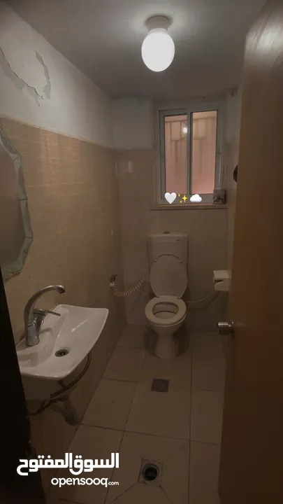 شقة للإيجار