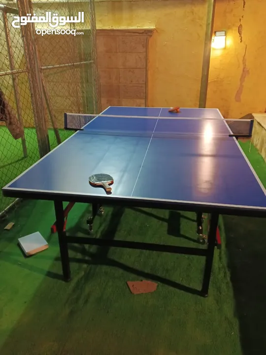 طاولة تنس خارجي مطري نخب فعلي ميلامين