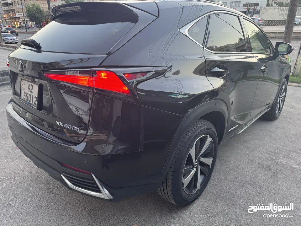 Lexus nx300h 2019