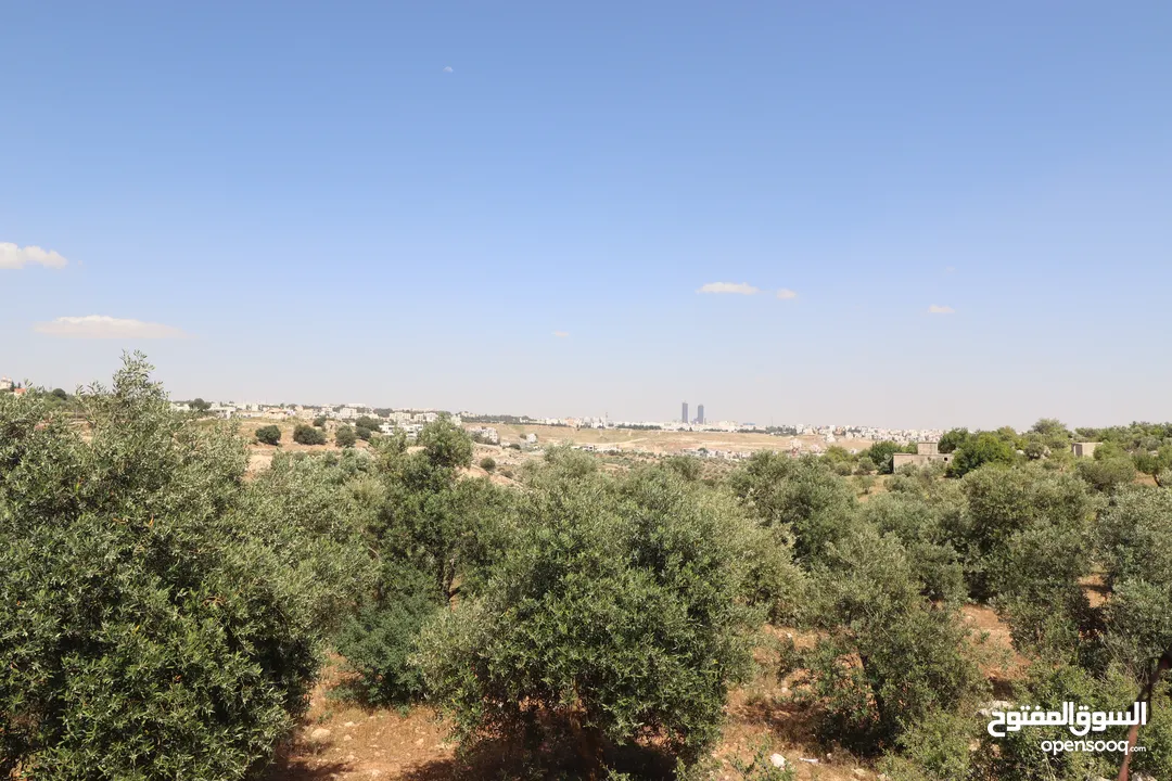 (1)ارض للبيع في اجمل مناطق الأردن الفحيص _حوض أبو ركبه _بالقرب من دابوق