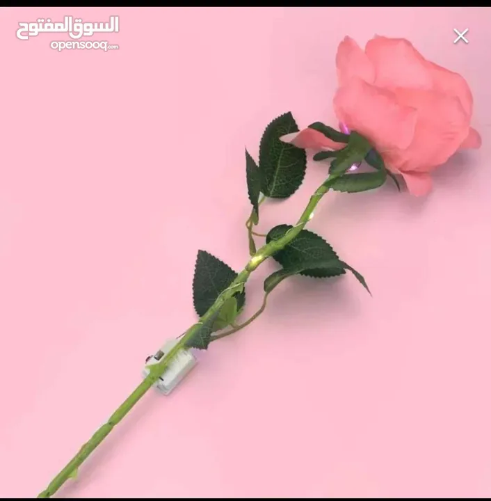 للبيع بالجمله  باقات ورد    و ورد جوري مضيئ