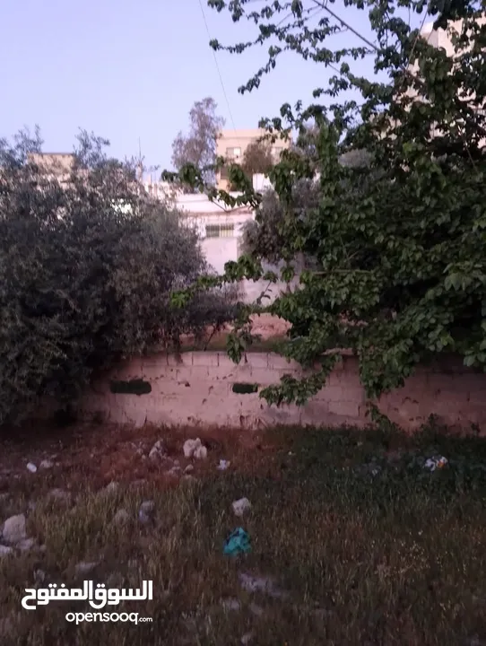 أرض للبيع بمساحه 678:340 متر عليه بيت قديم 100م يوجد فيها أشجار الزيتون وتوت وتين ولمون وعنب على شار